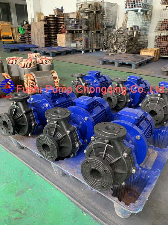 Fluorin Plastic Pump picture.jpg